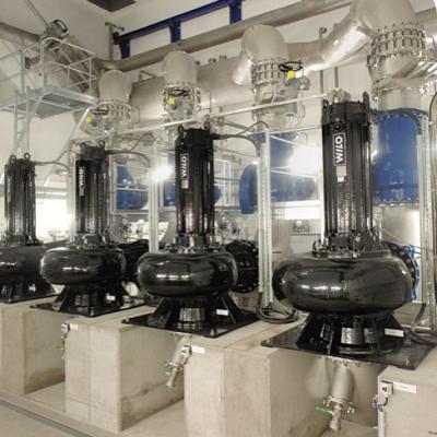 Aguas Negras Wilo 002