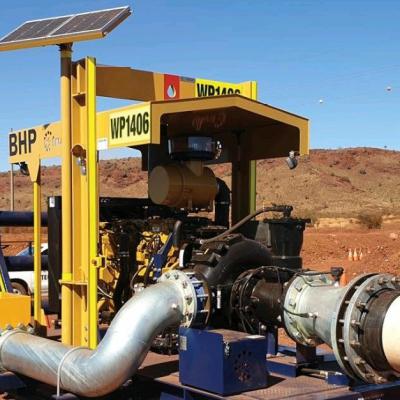 Cebado Automatico 003