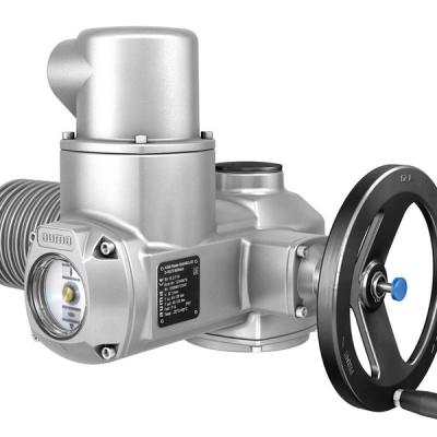 Actuador Electrico 001